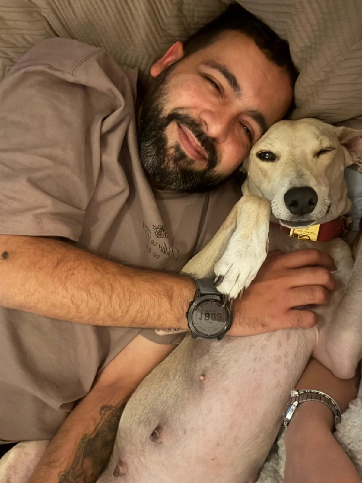 Arepita, galga adoptada, recostada junto a una persona en una cama