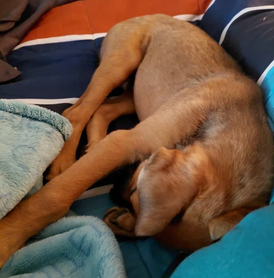 Sofía Canela descansando en el sillón de su hogar